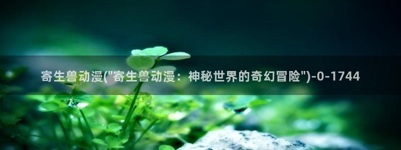 58动漫网