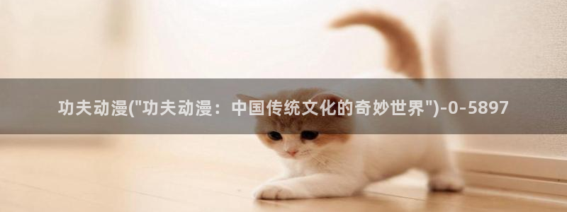 天使动漫网：功夫动漫(\