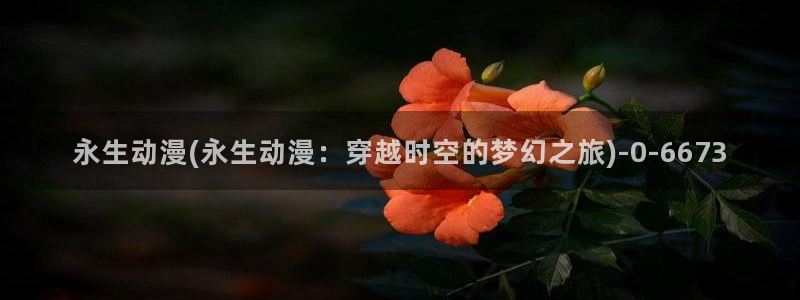 功夫动漫：永生动漫(永生动漫：穿越时空的梦幻之旅)
