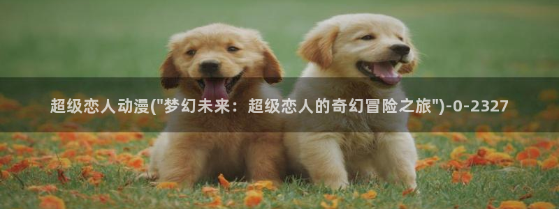 同人动漫