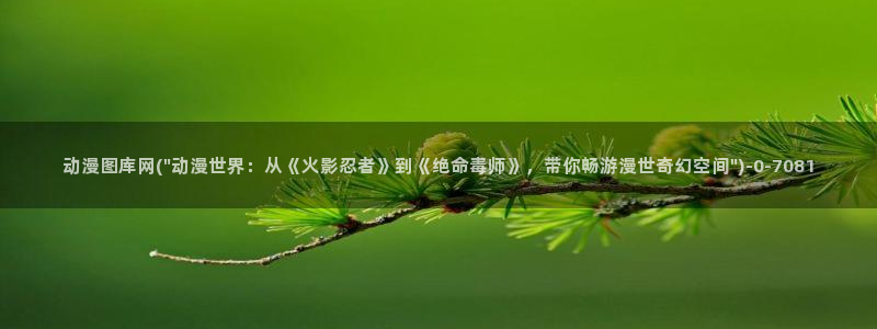 里动漫
